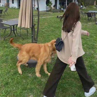 命运快车粤语